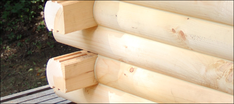 Log Home Damage Repair  Crozet, Virginia