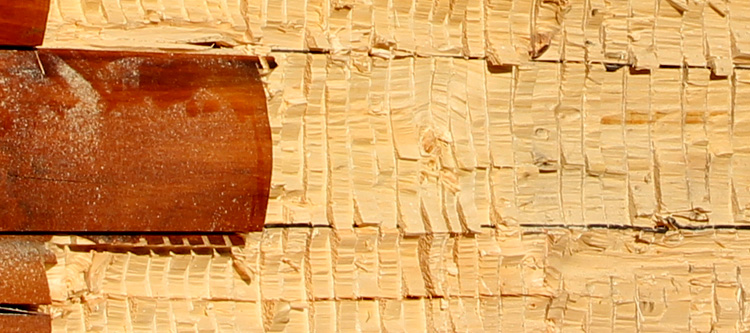 Log Home Face Restoration  Crozet, Virginia