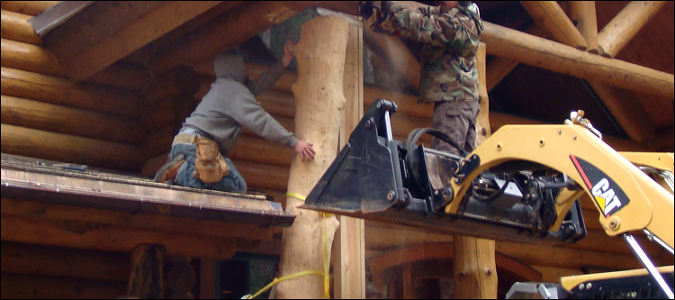 Log Home Log Replacement  Charlottesville, Virginia